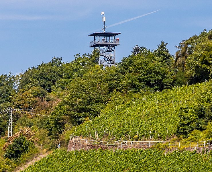 Blick auf den Prinzenkopfturm bei Zell