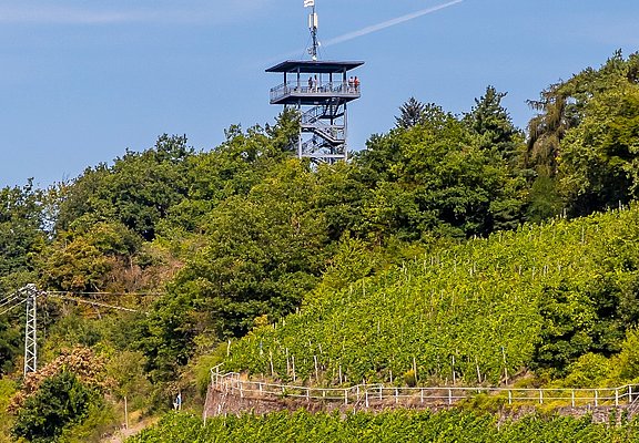 Blick auf den Prinzenkopfturm bei Zell
