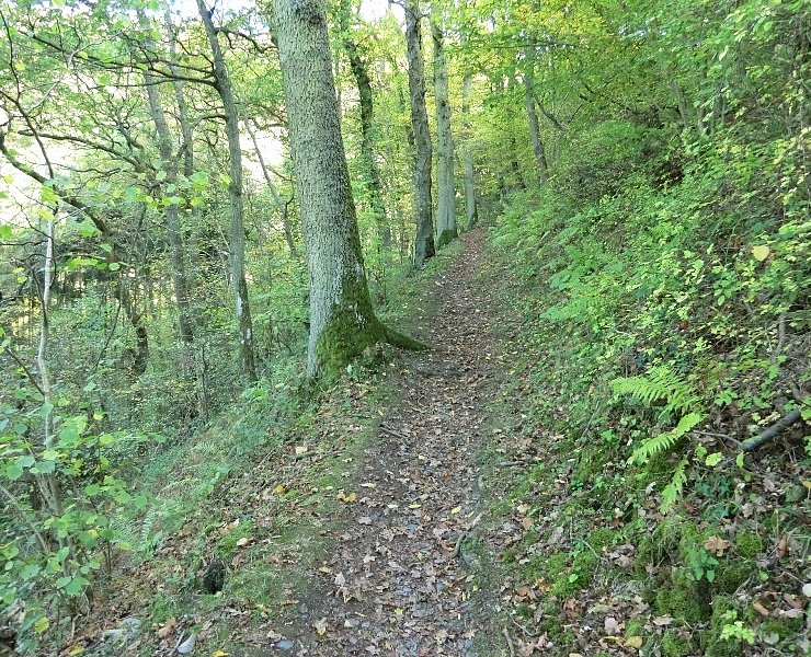 Pfadpassage im Kallenfelstal