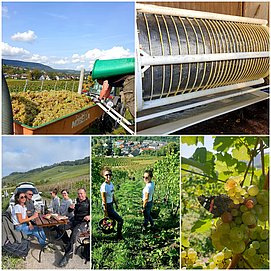 Weingut Permesang (4)