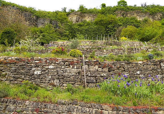 Felsengarten Nittel