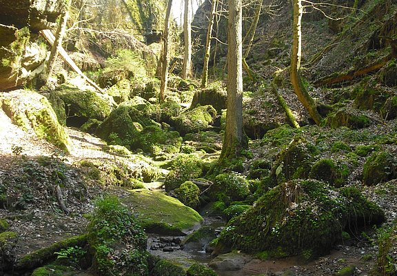 Ewigbachtal (01)