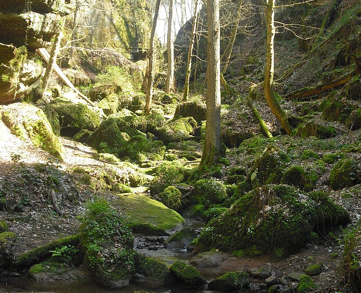 Ewigbachtal (01)