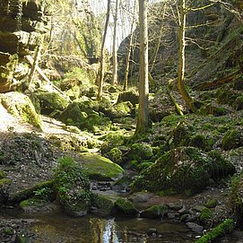 Ewigbachtal (01)