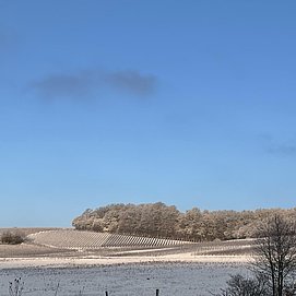 IMG_8160