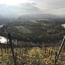 Wiltinger Saarbogen, so schön!