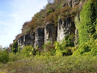 Nitteler Felsen