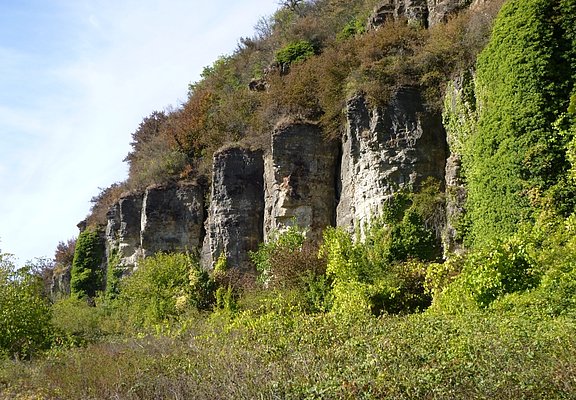 Nitteler Felsen
