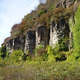 Nitteler Felsen