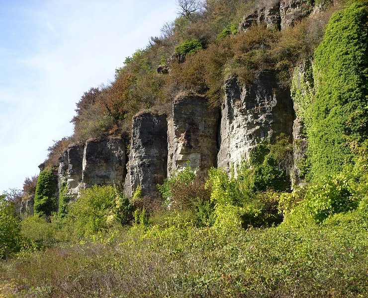 Nitteler Felsen