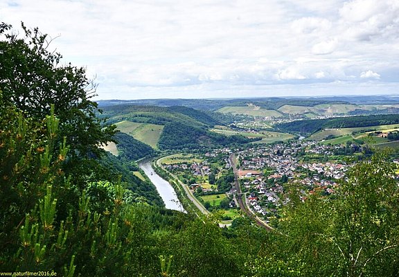 Blick auf Serrig