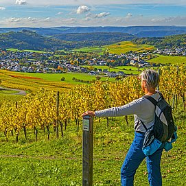 Karlskopf-Panoramaweg (1)