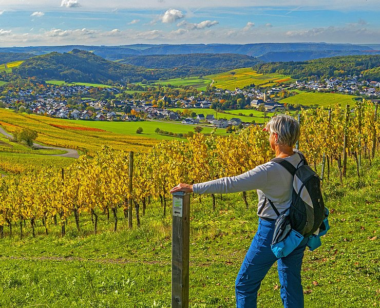 Karlskopf-Panoramaweg (1)
