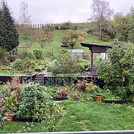 Der riesige Garten