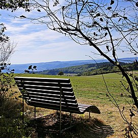 Saar-Riesling-Steig (09)