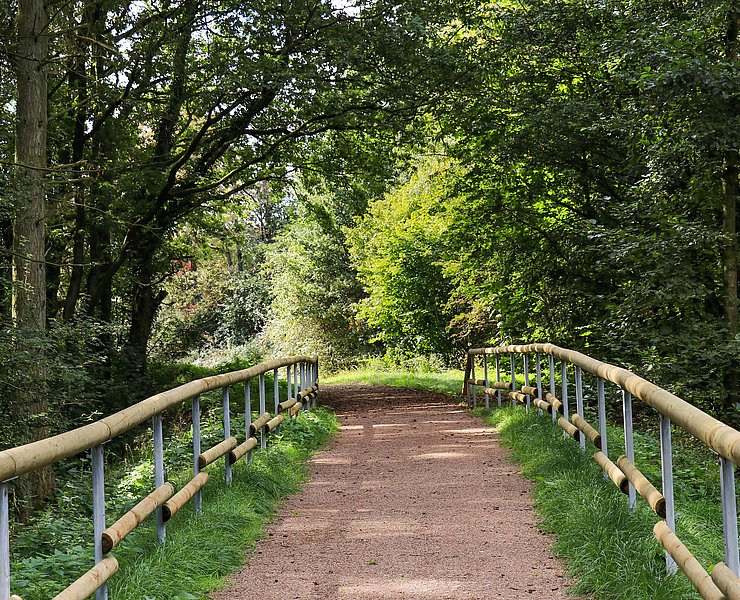 Spazierweg Warsberg (1)