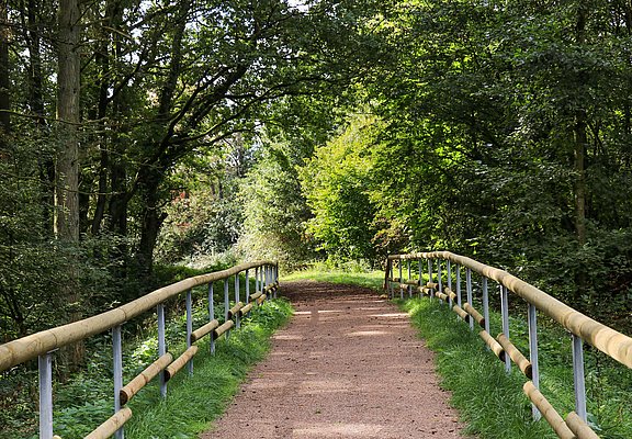 Spazierweg Warsberg (1)