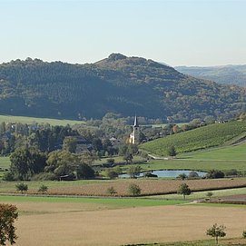 Impression Saar-Obermosel (1)