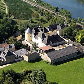 Schloss Thorn Palzem (03)