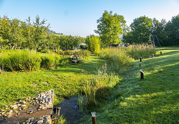 Packeselwanderungen (5)