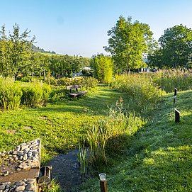 Packeselwanderungen (5)
