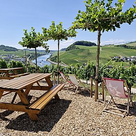 Weinhütte im Leiterchen Nittel (01)