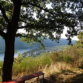 Abstieg nach Enkirch