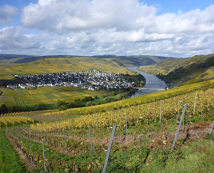Mosel-Panorama von der Zummethöhe