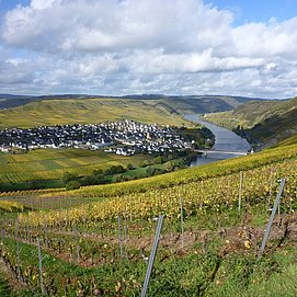 Mosel-Panorama von der Zummethöhe