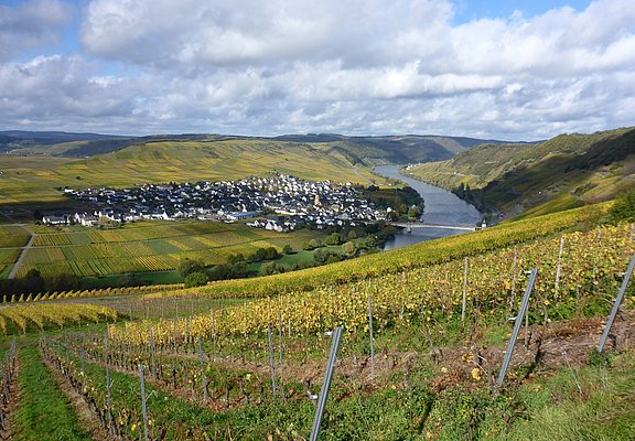 Mosel-Panorama von der Zummethöhe