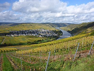Mosel-Panorama von der Zummethöhe