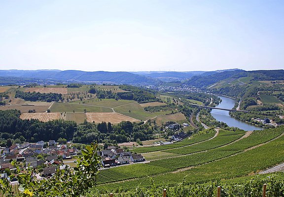 Saar-Riesling-Steig (03)