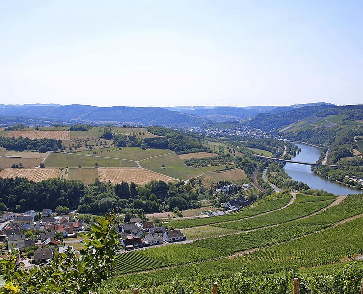 Saar-Riesling-Steig (03)