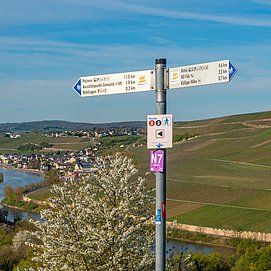 Blick von Rehlingen bei Nittel auf das Moseltal bei Wormeldange (Luxemburg)