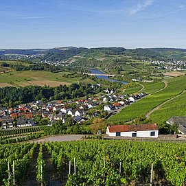 Ockfen an der Saar