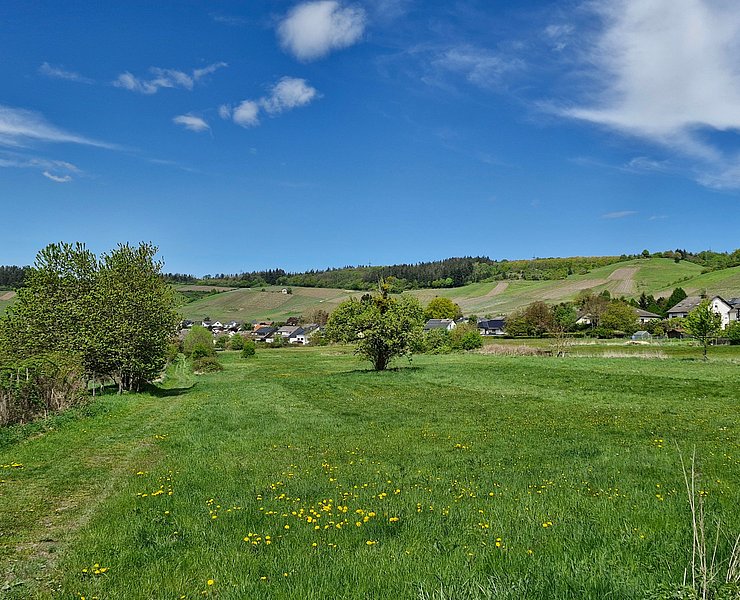 Blick auf Nieder- und Obermennig