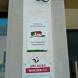 Weingut-Ferienwohnung Jungblut (8)