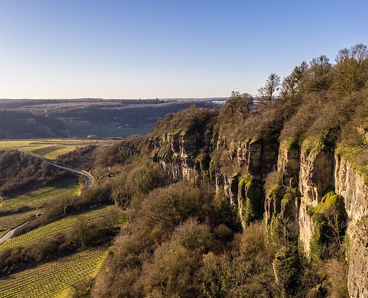 Nitteler Felsen