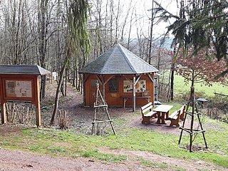 Insekten des Waldes (3)