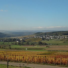 Impression Saar-Obermosel (2)