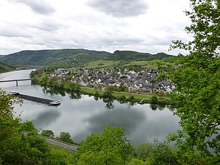 Wolf ist einer der Ausgangspunkte für den Moselsteig Seitensprung Kluckertspfad