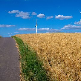 Auf der Kammlinie des Saargaus oberhalb von Kirf