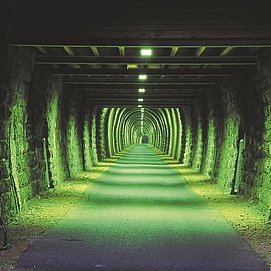 Maare-Mosel-Radweg: Großes Schlitzohr in Daun