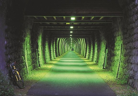 Maare-Mosel-Radweg: Großes Schlitzohr in Daun