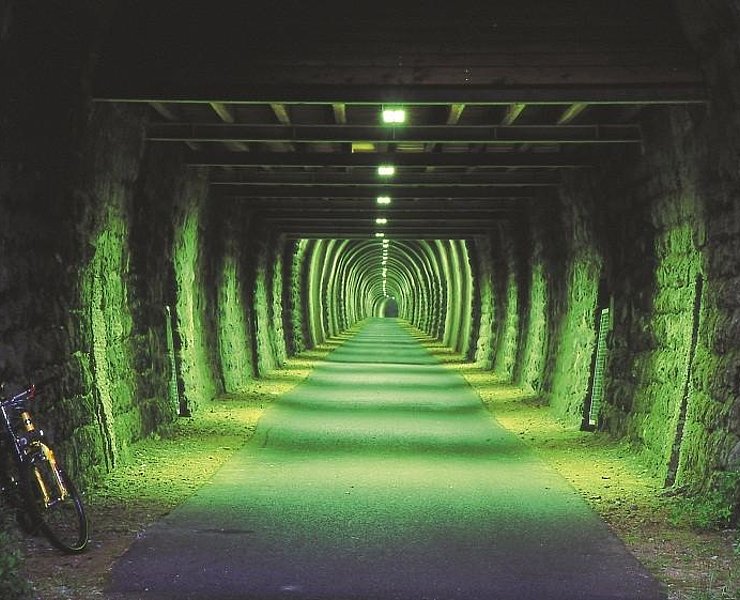 Maare-Mosel-Radweg: Großes Schlitzohr in Daun