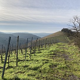 Auf dem Schartzhofberg