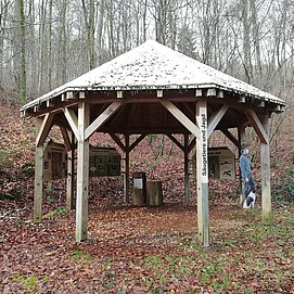 Säugetiere und Jagd (1)