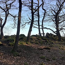 Aussichtspunkt Weissenfels (1)