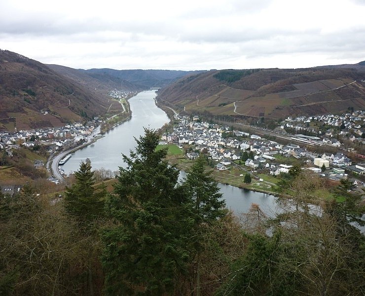 Aussicht vom Aussichtsturm Prinzenkopf auf Bullay und Alf
