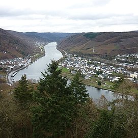 Aussicht vom Aussichtsturm Prinzenkopf auf Bullay und Alf